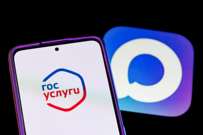 СМИ: Некоторые владельцы iPhone в&nbsp;РФ&nbsp;не&nbsp;могут войти в&nbsp;&laquo;Госуслуги&raquo; без Max