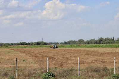 Вернули назад