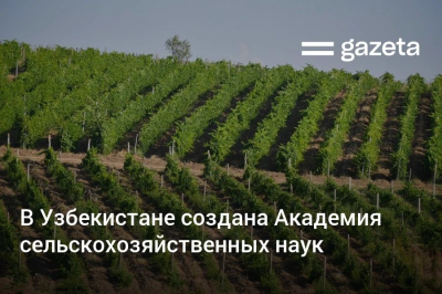 В Узбекистане учреждена Академия сельскохозяйственных наук
