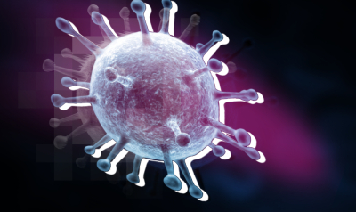 Дедков: вирус Нипах не является новым и не представляет угрозы для России