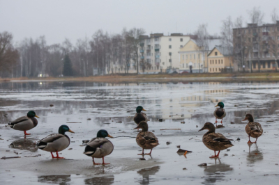 Синоптик ответил, когда в Москве наступит климатическая весна