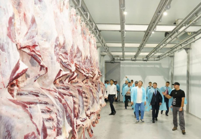 Современный откормочный комплекс начал работу в Туркестане