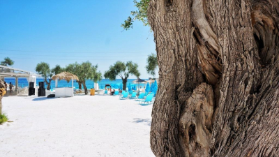Морская вода у&nbsp;берегов российских курортов прогрелась до&nbsp;+23&deg;C