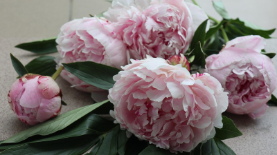 12 мая: какие праздники отмечаются в Казахстане и мире