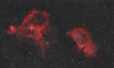 Самый дорогой букет во Вселенной: &laquo;Роскосмос&raquo; поздравил женщин космическими цветами