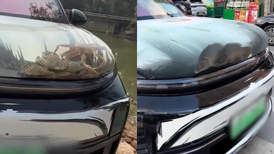 В Китае автомобилисты создают &laquo;аквариумы&raquo; на капотах авто