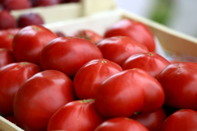 Очередная городская сельскохозярмарка пройдет в Астане