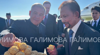 Султан Брунея прибыл в Казань на саммит Россия &mdash; АСЕАН, его встретил Минниханов