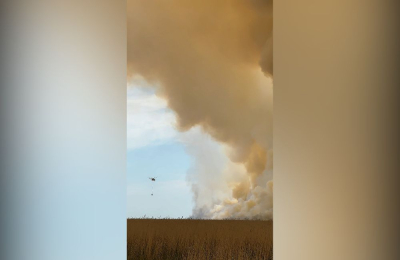 Пожар в резервате &laquo;Акжайык&raquo; потушен