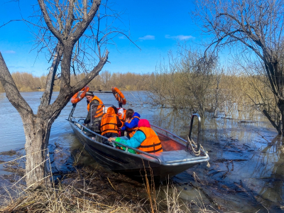 Несколько районов Алтая заливает: людей эвакуируют