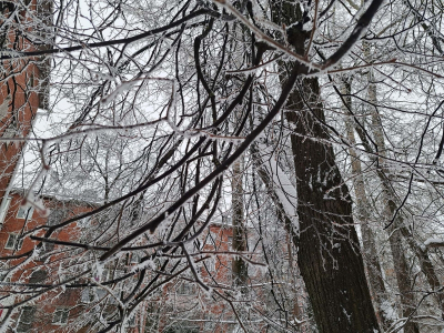 Синоптики рассказали, когда аномальные морозы покинут Приморье